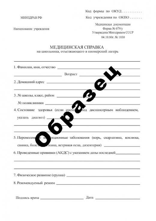 Получить справку в пионерский лагерь в Самаре Справка в пионерский лагерь в Самаре